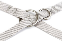 Beeztees Köpek Gezdirme Kayışı, Açık Gri, 120cm, 20mm - 3