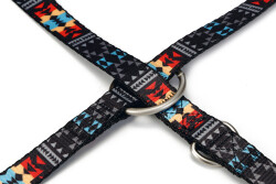 Beeztees Köpek Gezdirme Kayışı, Desenli, 200cm, 20mm - 2