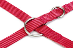 Beeztees Köpek Gezdirme Kayışı, Pembe, 200cm, 20mm - 3