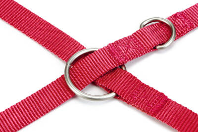 Beeztees Köpek Gezdirme Kayışı, Pembe, 200cm, 20mm - 3