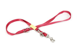 Beeztees Köpek Gezdirme Kayışı, Pembe, 200cm, 20mm - Beeztees