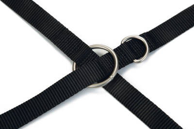 Beeztees Köpek Gezdirme Kayışı, Siyah, 200cm, 20mm - 3