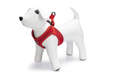 Beeztees Köpek Göğüs Tasması, Neopren, Kırmızı, S, 38-44cm - 1
