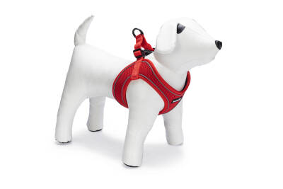 Beeztees Köpek Göğüs Tasması, Neopren, Kırmızı, XS, 30-35cm - 2