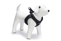 Beeztees Köpek Göğüs Tasması, Neopren, Siyah, M, 41-46cm - 2