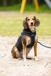 Beeztees Köpek Göğüs Tasması, Neopren, Siyah, M, 41-46cm - 4