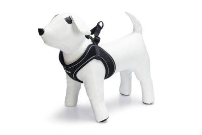 Beeztees Köpek Göğüs Tasması, Neopren, Siyah, XS, 30-35cm - 1