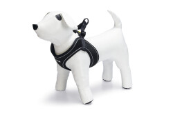 Beeztees Köpek Göğüs Tasması, Neopren, Siyah, XS, 30-35cm - Beeztees