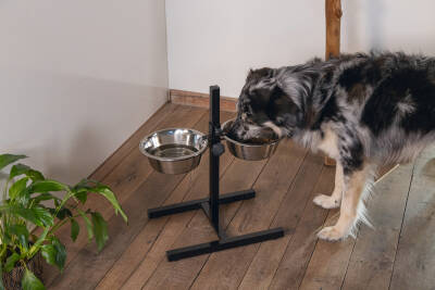 Beeztees Köpek İkili Mama Su Kabı, Ayaklı, Paslamaz Çelik, 25cm, 2x2,5L - 3