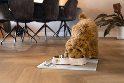 Beeztees Köpek İkili Mama ve Su Kabı, Paslanmaz Çelik, Pudra Pembe, 27x14cm, 2x160ml - 2