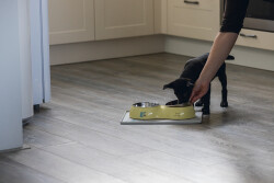 Beeztees Köpek İkili Mama ve Su Kabı, Paslanmaz Çelik, Sarı, 34x17,5cm, 2x350ml - 2