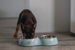 Beeztees Köpek İkili Mama ve Su Kabı, Paslanmaz Çelik, Turkuaz, 34x17,5cm, 2x350ml - 5