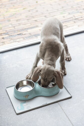 Beeztees Köpek İkili Mama ve Su Kabı, Paslanmaz Çelik, Turkuaz, 34x17,5cm, 2x350ml - 2