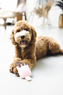 Beeztees Köpek Oyuncağı, Dondurma, Peluş, Pembe, 19x8x5cm - 2