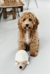 Beeztees Köpek Oyuncağı, Kirpi, Peluş, Beyaz, 26x14x15cm - 2