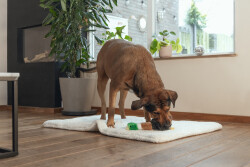 Beeztees Köpek Oyuncağı, Sesli, Ördek, Peluş, Kahverengi/Siyah, 36x25,5x9cm - 2