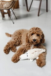 Beeztees Köpek Oyuncağı, Timsah, Peluş, Beyaz, 36x16x10cm - 2