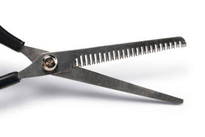 Beeztees Köpek Tüy İnceltme Makası, Siyah, 17cm, 17x6x1cm - 4