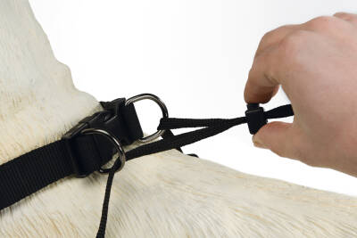 Beeztees Köpek Yürüyüş Eğitim ve Düzeltme Tasması, L - 5