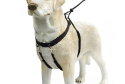 Beeztees Köpek Yürüyüş Eğitim ve Düzeltme Tasması, S - 3