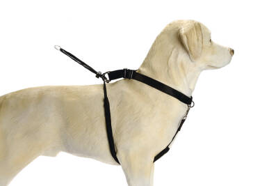 Beeztees Köpek Yürüyüş Eğitim ve Düzeltme Tasması, XL - 2