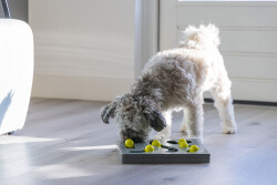 Beeztees Köpek Zeka Geliştirme Oyuncağı, 28x28x4,5cm - 3