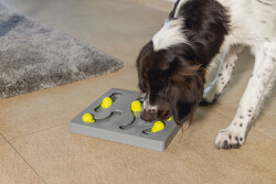 Beeztees Köpek Zeka Geliştirme Oyuncağı, 28x28x4,5cm - 5