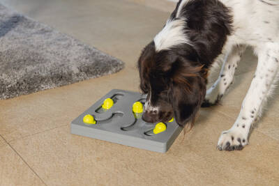 Beeztees Köpek Zeka Geliştirme Oyuncağı, 28x28x4,5cm - 5