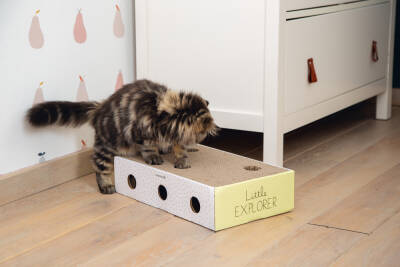 Beeztees Yavru Kedi Karton Tırmalama ve Oyuncağı, 25x42x10cm - 2