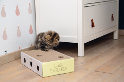 Beeztees Yavru Kedi Karton Tırmalama ve Oyuncağı, 25x42x10cm - 4