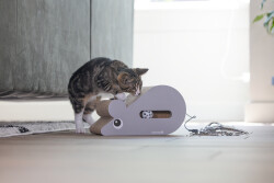 Beeztees Yavru Kedi Karton Tırmalama ve Oyuncağı, 30x20x17cm - 2