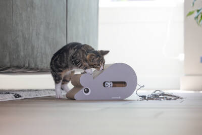 Beeztees Yavru Kedi Karton Tırmalama ve Oyuncağı, 30x20x17cm - 2