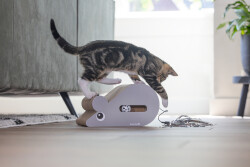 Beeztees Yavru Kedi Karton Tırmalama ve Oyuncağı, 30x20x17cm - 3