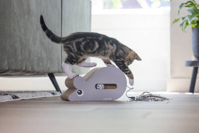 Beeztees Yavru Kedi Karton Tırmalama ve Oyuncağı, 30x20x17cm - 3