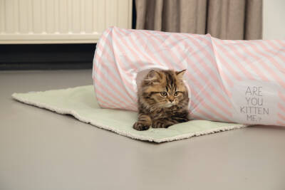 Beeztees Yavru Kedi Oyun Tüneli, 60x24x24cm - 2