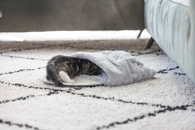 Beeztees Yavru Kedi Oyun Yatağı, Oyuncaklı, 50x40x15cm - 2