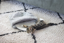 Beeztees Yavru Kedi Oyun Yatağı, Oyuncaklı, 50x40x15cm - 3