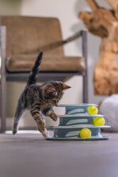 Beeztees Yavru Kedi Oyuncağı, 3 Katlı, 25x25x13cm - 3