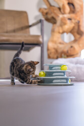 Beeztees Yavru Kedi Oyuncağı, 3 Katlı, 25x25x13cm - 2