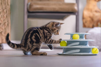 Beeztees Yavru Kedi Oyuncağı, 3 Katlı, 25x25x13cm - 4