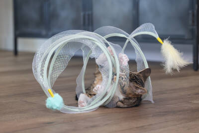 Beeztees Yavru Kedi Tüneli, Spiral Şeklinde, 60x25x25cm - 3