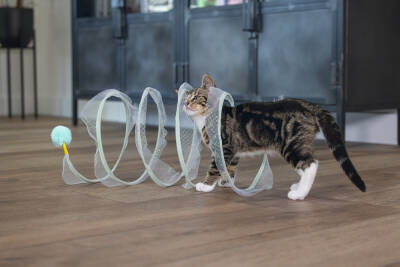 Beeztees Yavru Kedi Tüneli, Spiral Şeklinde, 60x25x25cm - 2