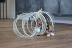 Beeztees Yavru Kedi Tüneli, Spiral Şeklinde, 60x25x25cm - Beeztees