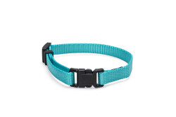 Beeztees Yavru Köpek Boyun Tasması, Çeşitli Renklerde, 17-25cm, 10mm - 3