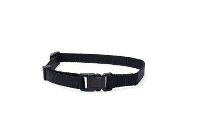 Beeztees Yavru Köpek Boyun Tasması, Çeşitli Renklerde, 22-35cm, 10mm - 1