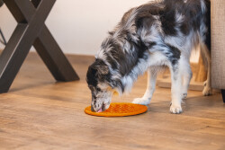 Beeztees Yavru Köpek Mama Yeme Oyuncağı, Daire Şeklinde, Silikon, Turuncu, 30cm - 2