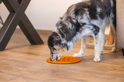 Beeztees Yavru Köpek Mama Yeme Oyuncağı, Daire Şeklinde, Silikon, Turuncu, 30cm - 2