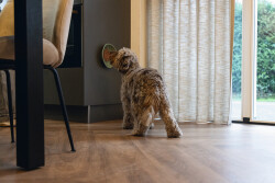 Beeztees Yavru Köpek Mama Yeme Oyuncağı, Silikon, Yeşil, 19cm - 3