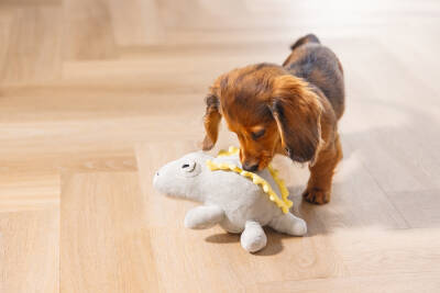 Beeztees Yavru Köpek Oyuncağı, Dinazor, Peluş, Yeşil, 19x14,5x9cm - 5