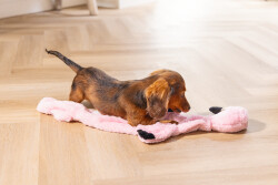 Beeztees Yavru Köpek Oyuncağı, Flamingo, Peluş, Pembe, 72x27x5cm - 2